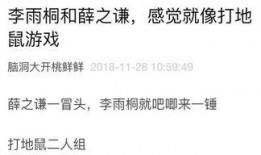 娱乐吃瓜笔记